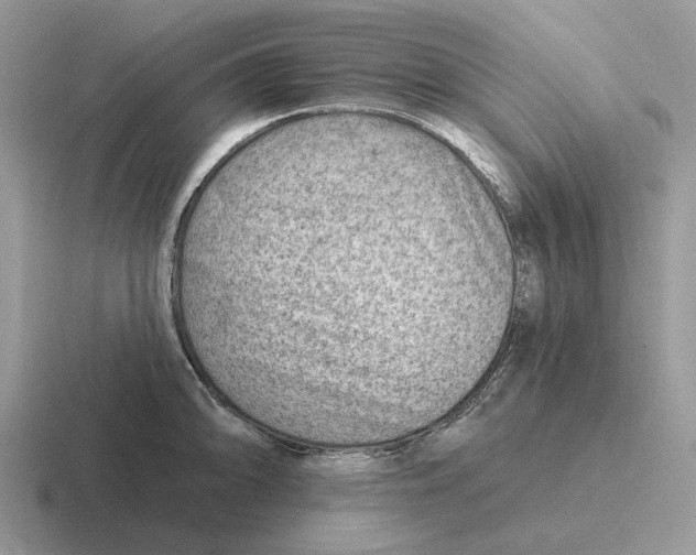 X0000116671094201001041124