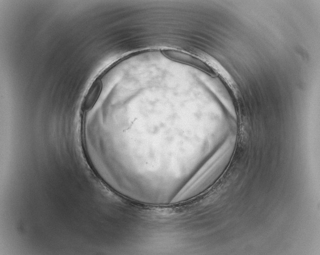 X0000116671096201001041124