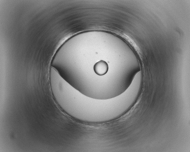 X0000116671097201001041124