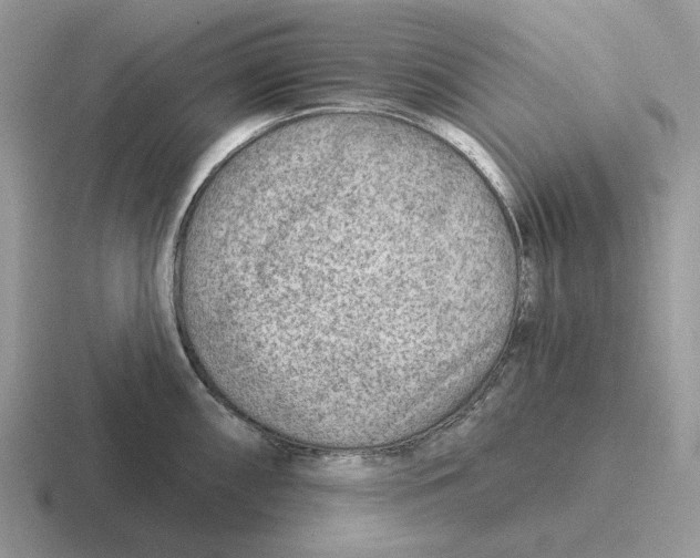 X0000116671098201001041124