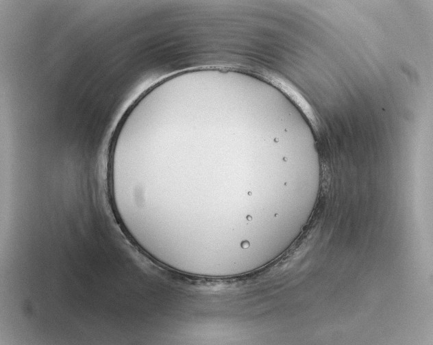 X0000116671099201001041124