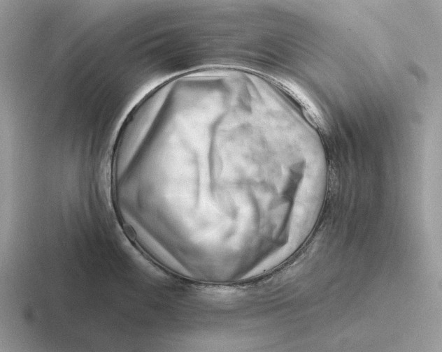 X0000116671100201001041124