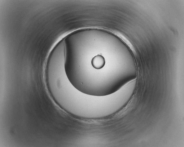 X0000116671101201001041124