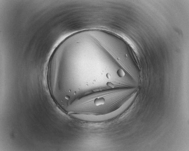 X0000116671102201001041124