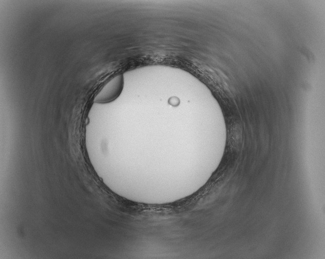 X0000116671105201001041124