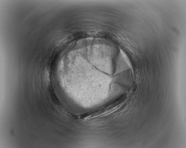 X0000116671106201001041124