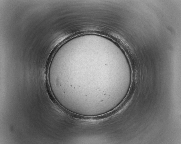 X0000116671113201001041124