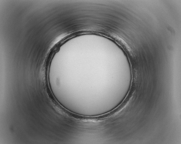 X0000116671114201001041124