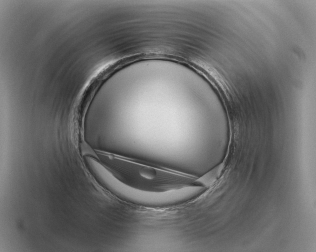 X0000116671115201001041124