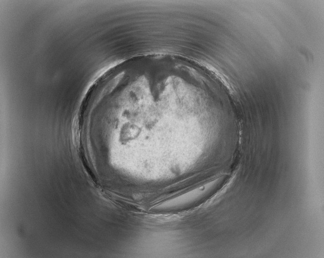 X0000116671117201001041124