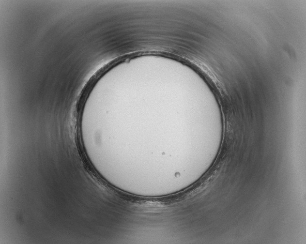 X0000116671119201001041124