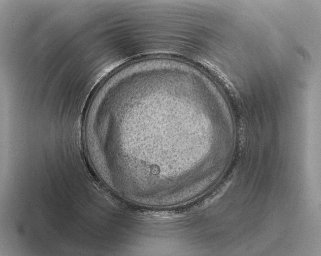 X0000116671121201001041124