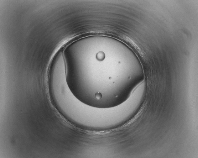 X0000116671122201001041124