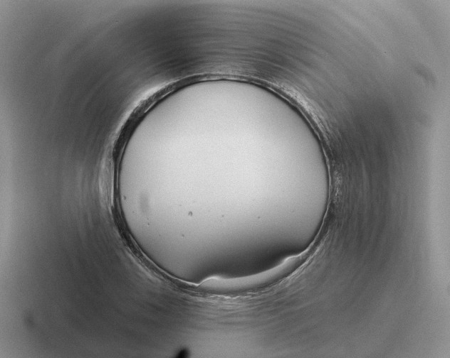 X0000116671123201001041124