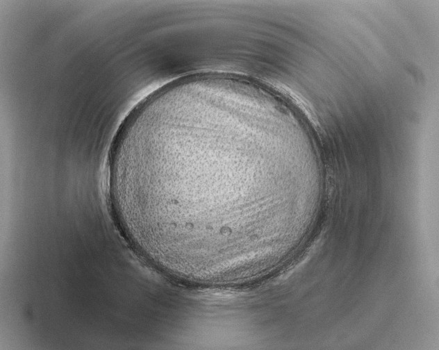 X0000116671125201001041124