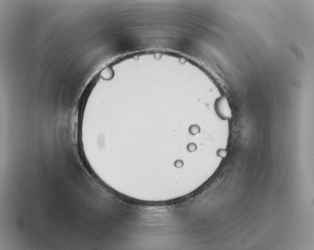 X0000116671126201001041124