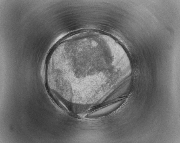 X0000116671127201001041124