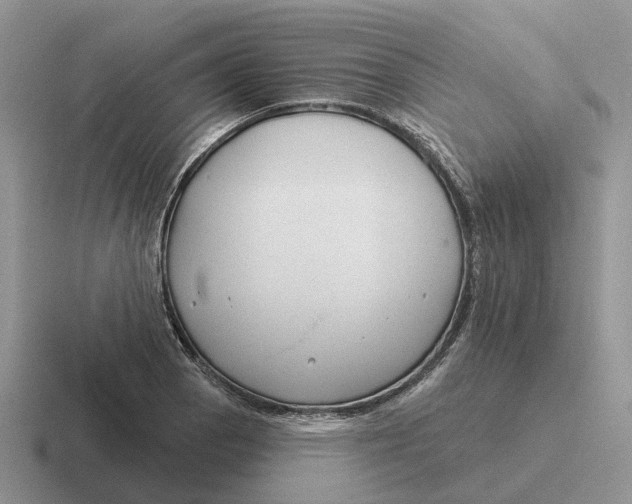 X0000116671129201001041124