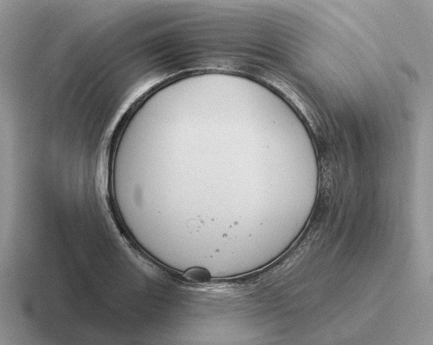 X0000116671131201001041124