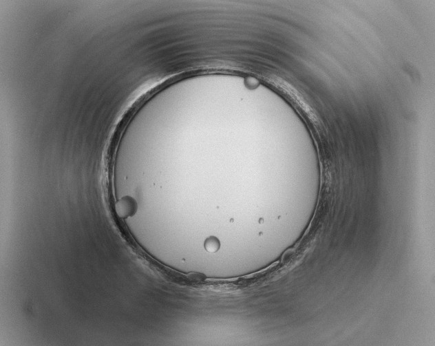 X0000116671133201001041124