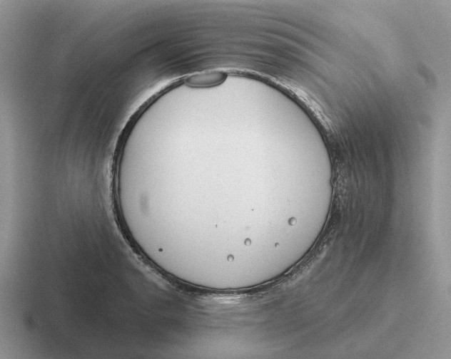 X0000116671134201001041124