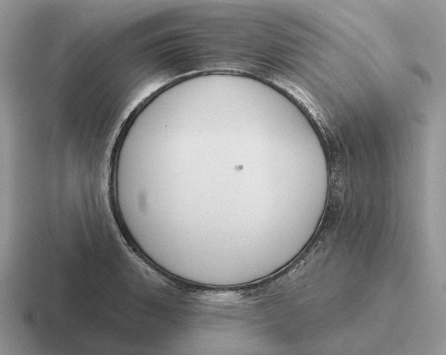 X0000116671135201001041124