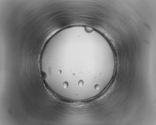 X0000116671137201001041124