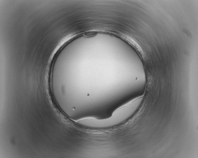 X0000116671138201001041124