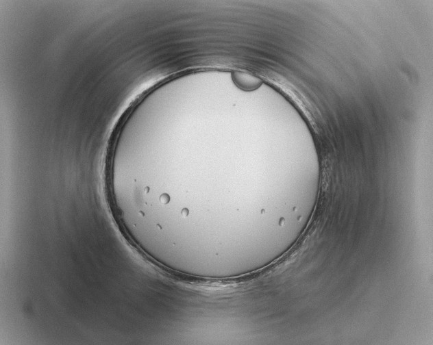 X0000116671139201001041124