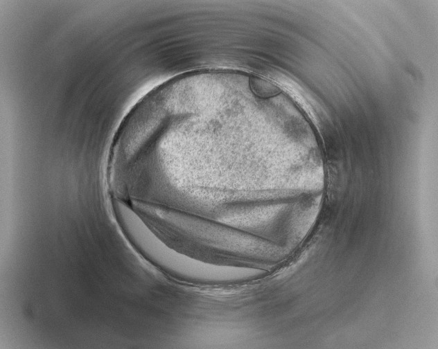 X0000116671141201001041124