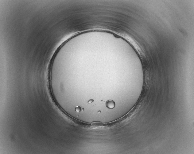 X0000116671142201001041124