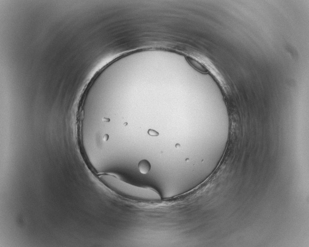 X0000116671143201001041124