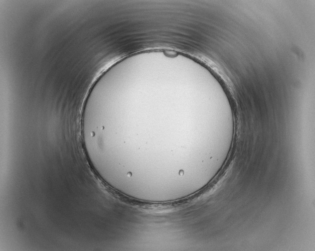 X0000116671145201001041124