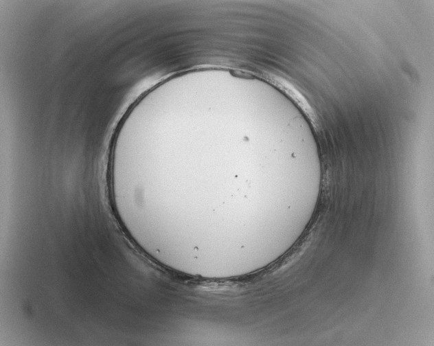 X0000116671146201001041124