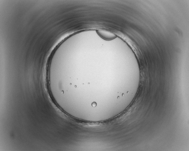 X0000116671147201001041124