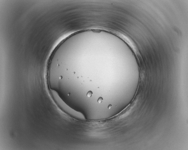 X0000116671149201001041124