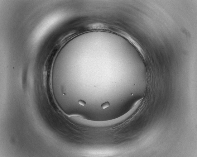 X0000116671151201001041124