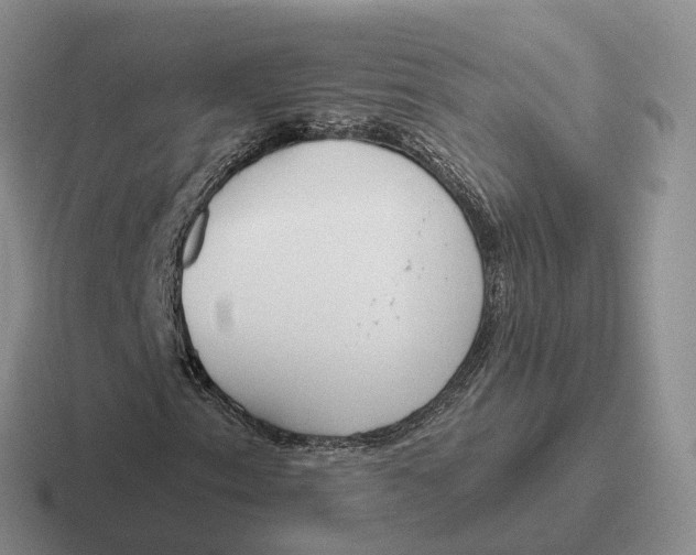 X0000116671153201001041124