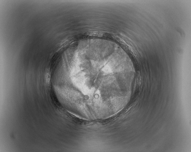 X0000116671154201001041124