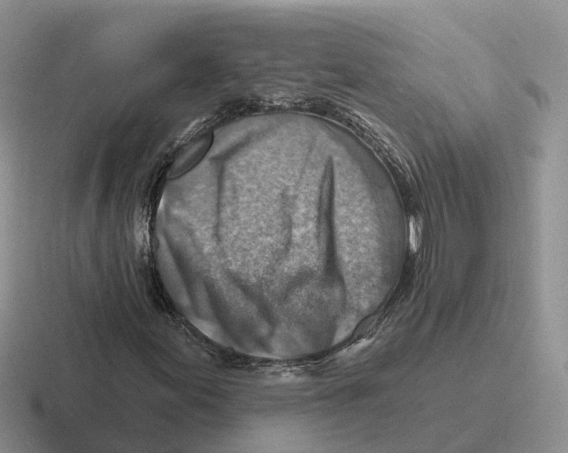 X0000116671155201001041124