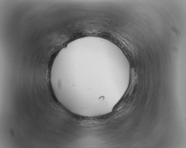 X0000116671156201001041124