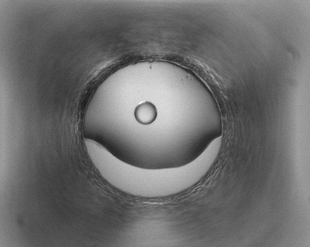 X0000116671157201001041124