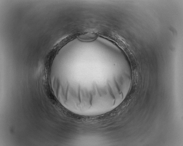 X0000116671158201001041124