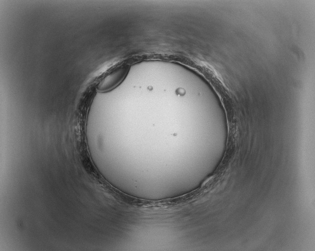 X0000116671159201001041124