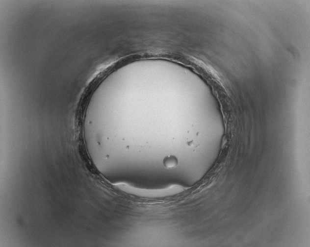 X0000116671160201001041124