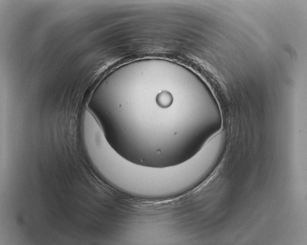 X0000116671161201001041124