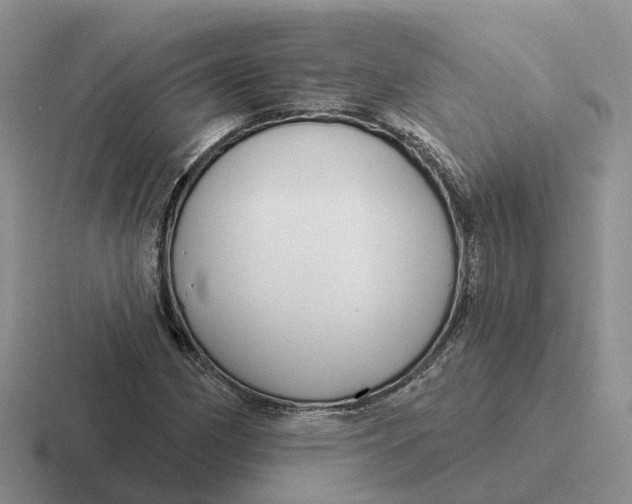 X0000116671162201001041124