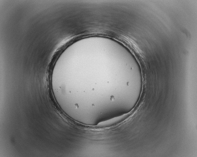 X0000116671164201001041124