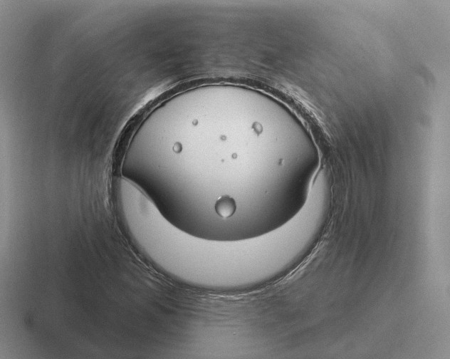 X0000116671165201001041124