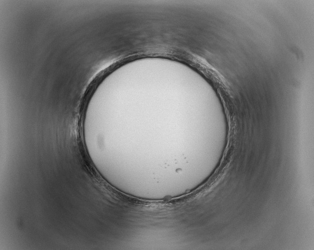 X0000116671166201001041124